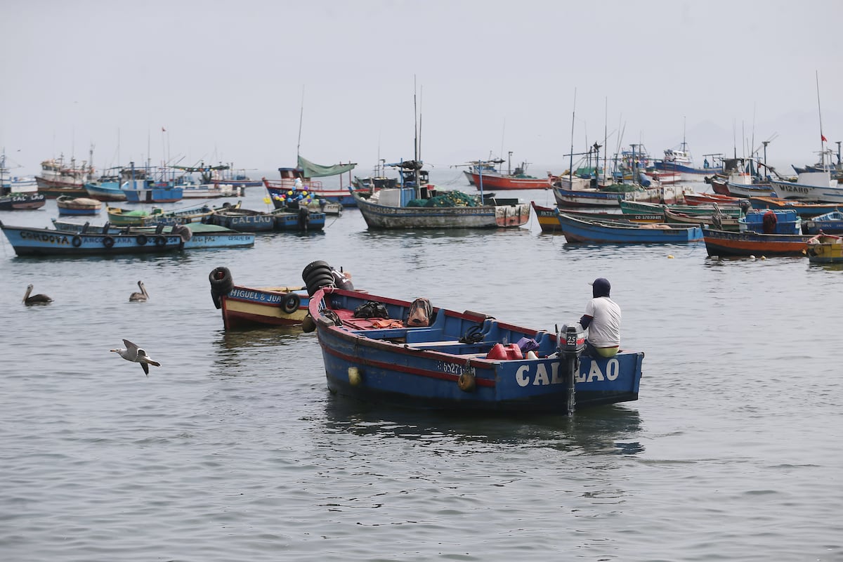 Ministerio de Salud (Minsa) ratificó la advertencia de no asistir a las 25 playas que aún sigue afectadas por el derrame de petróleo. (Foto: GEC)