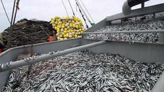 Se autoriza inicio de segunda temporada de pesca de anchoveta: ¿cuáles son las condiciones?