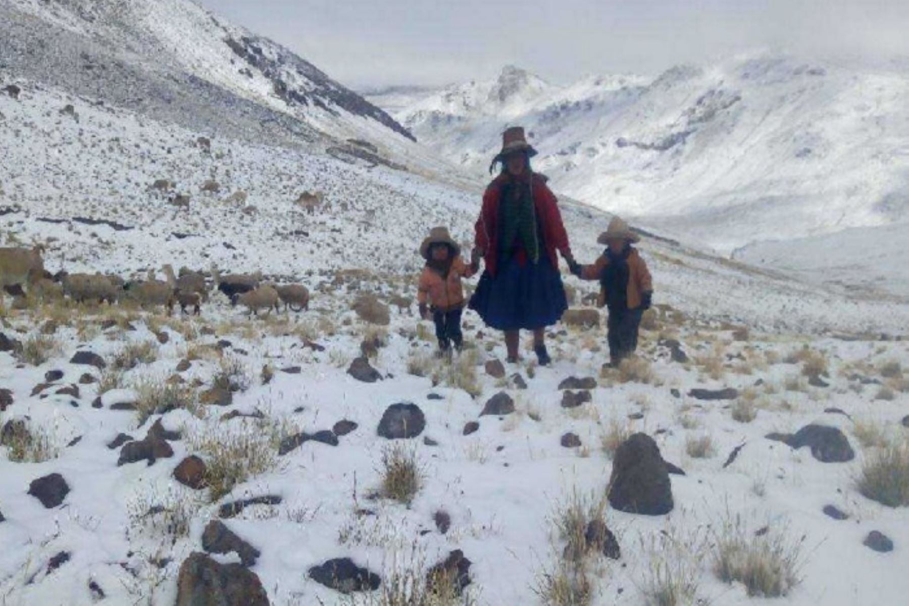 Heladas en la Sierra. (Foto: Difusión)