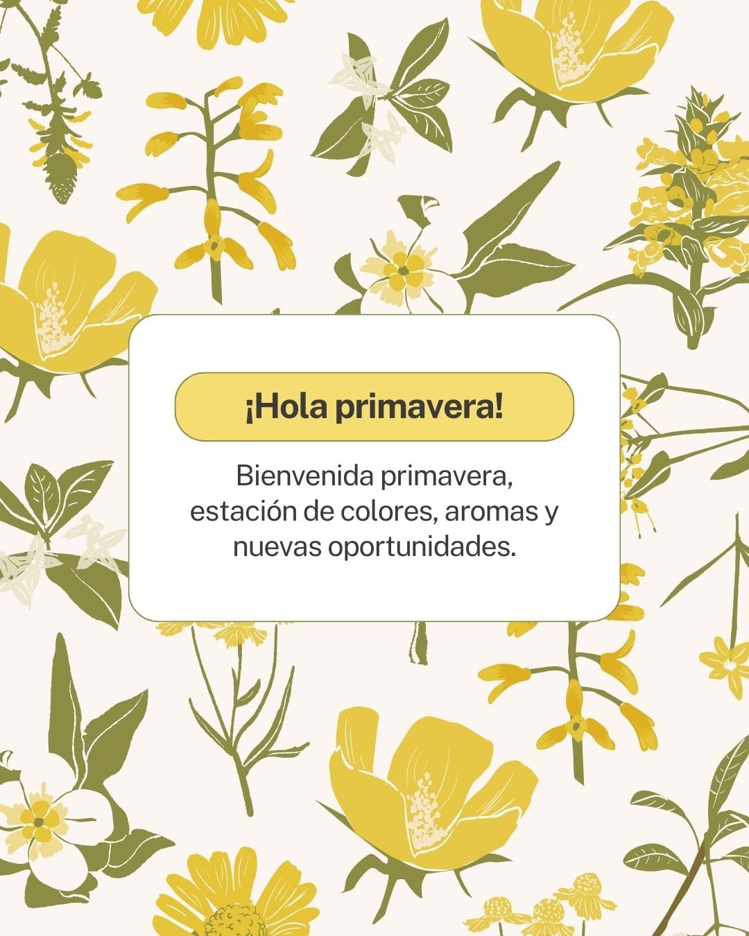 Este viernes 21 de marzo inicia la primavera en México y Estados Unidos, una fecha donde muchas personas regalarán flores amarillas a sus parejas (Foto: Canva.com)