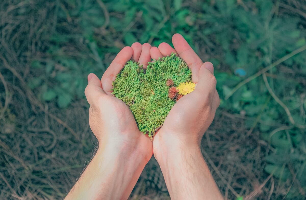 muchas empresas, independientemente de su tamaño o del sector al que pertenezcan, pueden mejorar desde ahora sus indicadores de sostenibilidad. (Foto: Pexels)