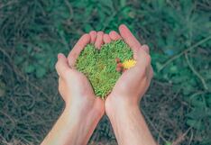 Día del Medio Ambiente: balance y agenda pendiente
