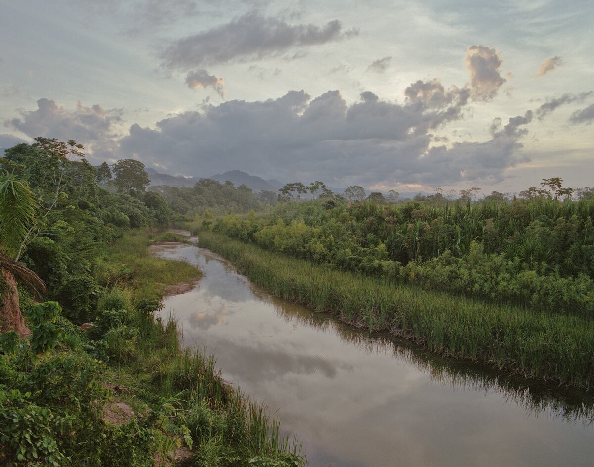 Los datos de la red amazónica revelan que el 86% de la deforestación ocurrida entre 1985 y 2022 tuvo lugar fuera de áreas protegidas o territorios indígenas, que según el análisis de la organización, realizan “un papel clave como barreras al proceso de deforestación y degradación de sus bosques”. (Foto: Linka A Odom)