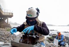 Minam cuenta con 9 puestos de trabajo: sueldos llegan a los S/ 11,000