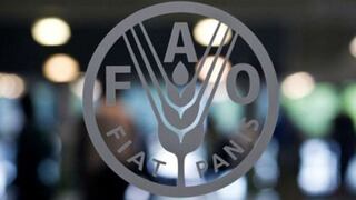 FAO: Precios mundiales de los alimentos caen 1.3% en octubre