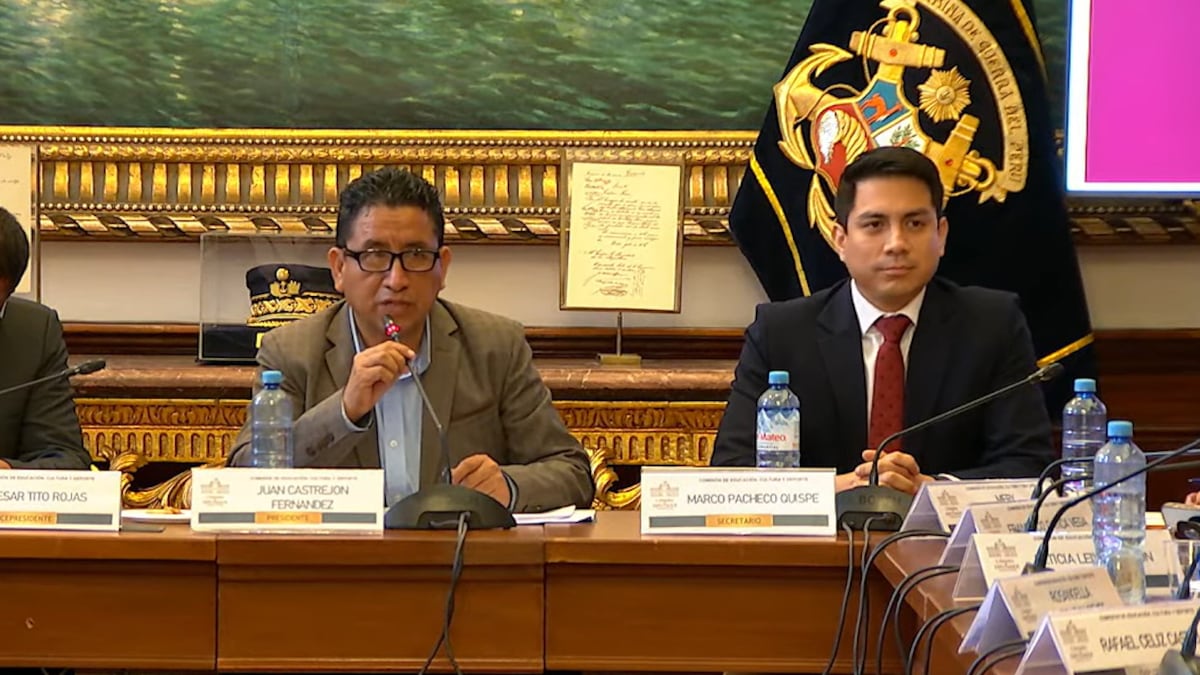 Comisión de Educación aprueba ampliar hasta 2029 el reintegro del IGV para editoriales