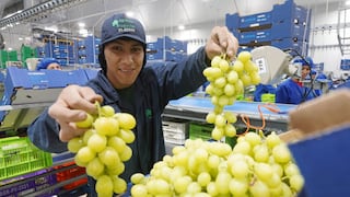 Perú rompe récord en envíos de uvas y mira de cerca a competidor por liderazgo mundial