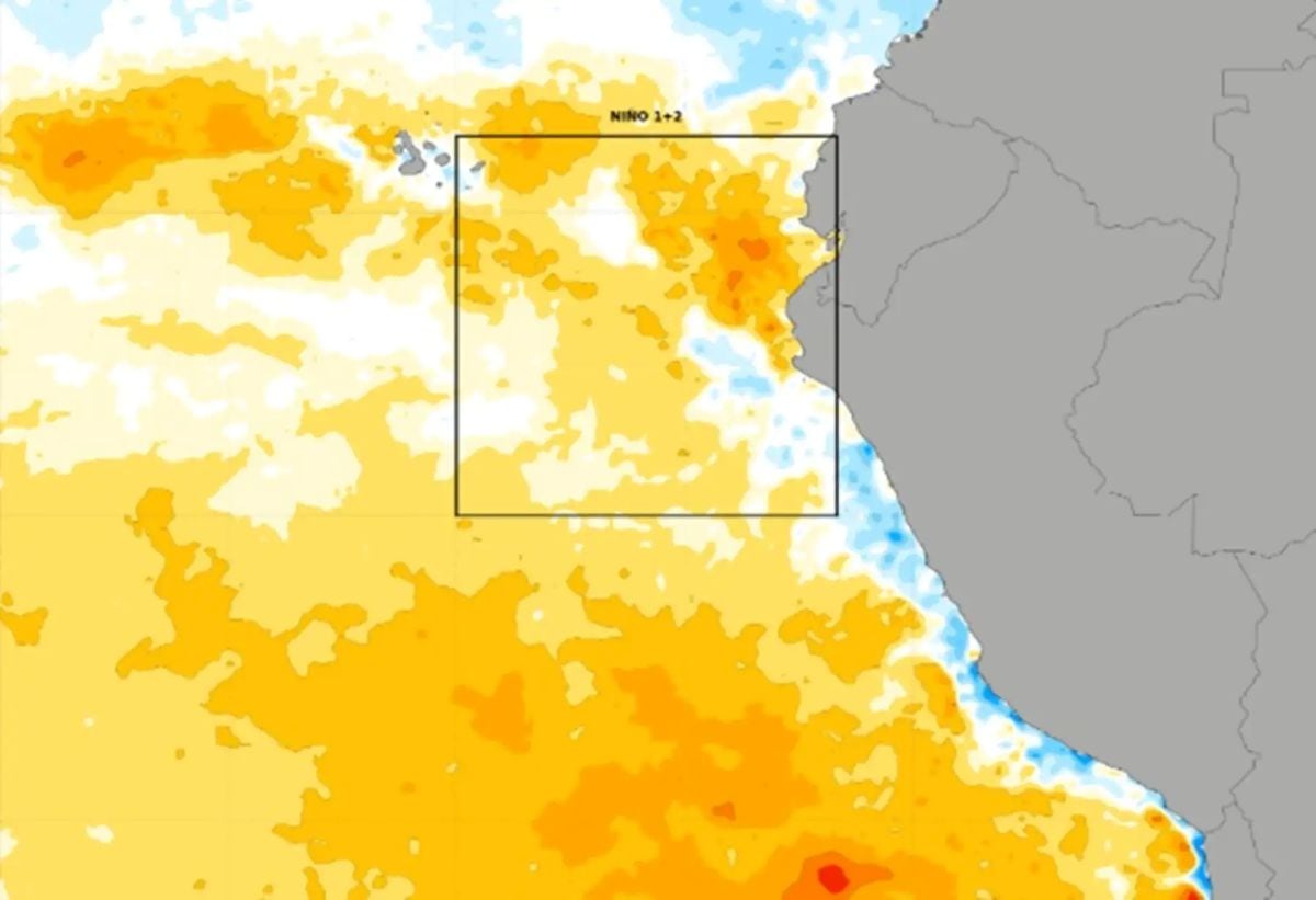 Senamhi advierte que el calentamiento del Pacífico podría elevar temperaturas en la costa peruana hasta fin de año. Foto: Andina.