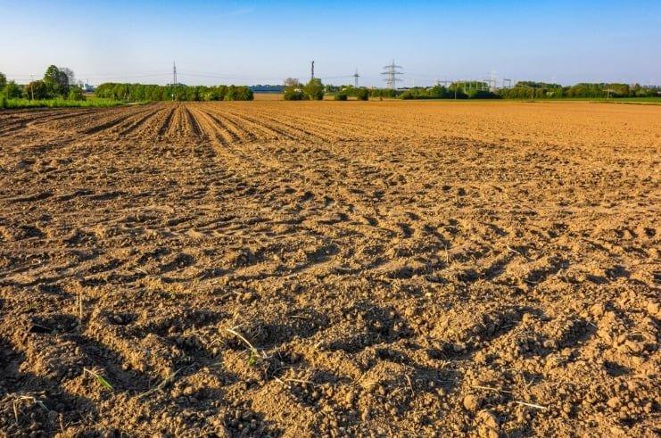 Las nuevas regulaciones sobre el uso de aguas subterráneas están obligando a dejar sin cultivar grandes extensiones de terreno. (Foto referencial: Freepik)