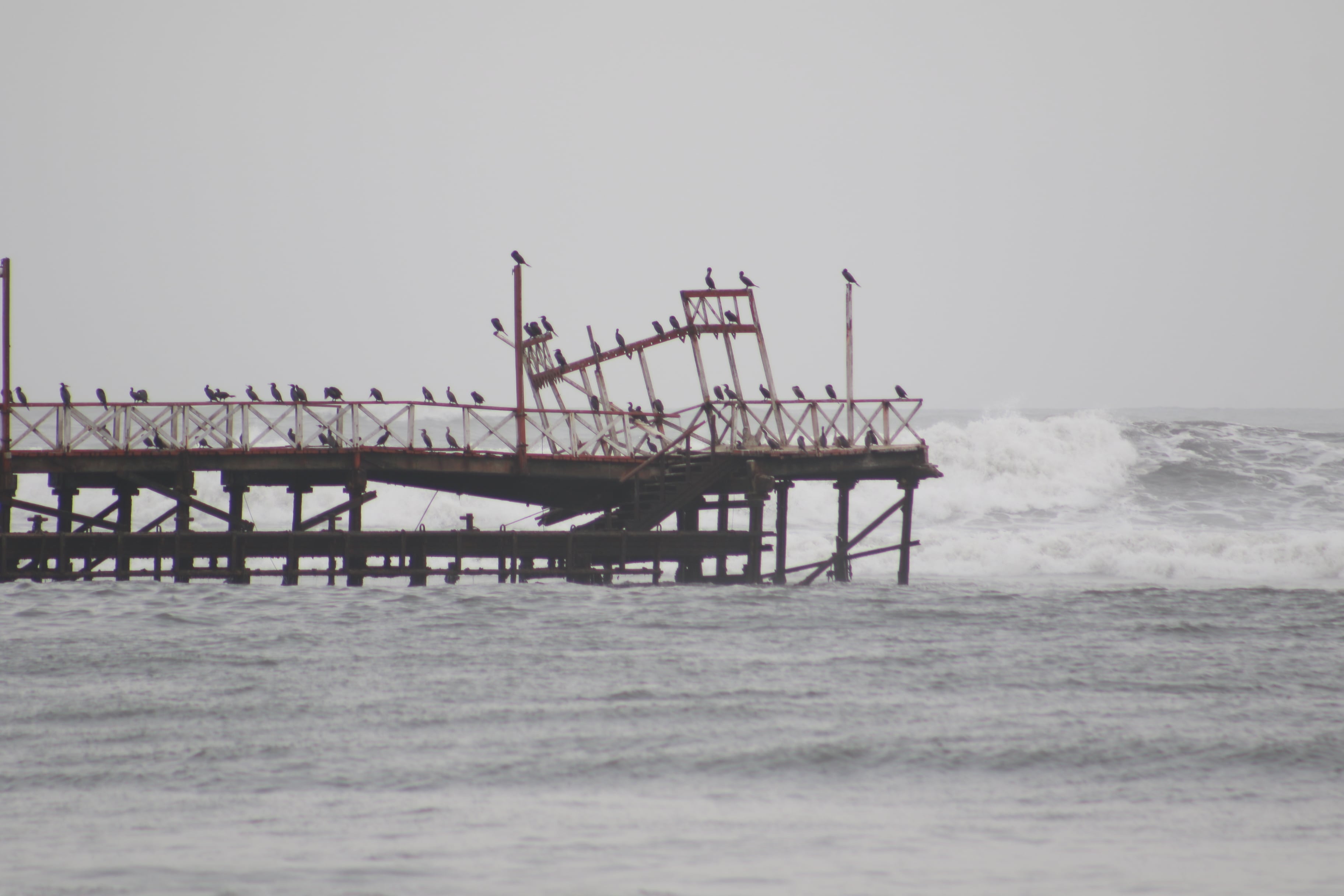 TRUJILLO, 21 DE MAYO DEL 2025 Colapsó parte del histórico muelle de Huanchaco luego de años de abandono. La infraestructura fue inaugurada en 1891 y sirvió originalmente como embarcadero para la actividad comercial. Con el tiempo, se transformó en un espacio turístico. FOTOS: JOHNNY AURAZO
