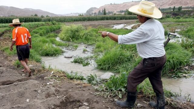 MEF reglamentó programa que dará ayuda financiera a los agricultores afectados por El Niño Costero