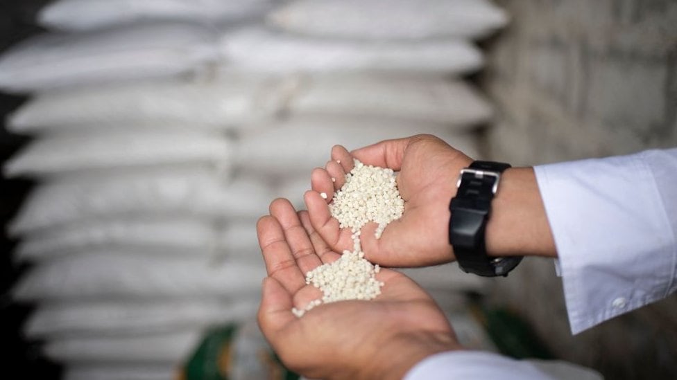 Hoy en día, la mitad de la población mundial –alrededor de 4,100 millones de personas– subsiste exclusivamente gracias a alimentos sostenidos por nutrientes nitrogenados industriales.