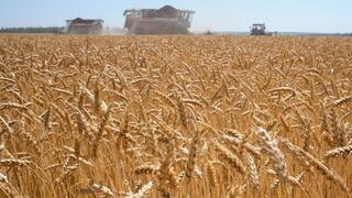 ONU tuvo conversaciones “constructivas” en Moscú sobre cereales y fertilizantes rusos