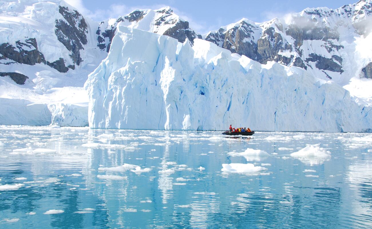 Desde el cielo, drones y satélites les permiten vigilar y contar las poblaciones de animales en las zonas más remotas o inaccesibles. (Foto: Shutterstock)