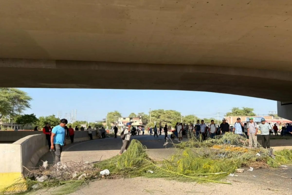 El Gobierno decidió poner sobre la mesa una solución: un decreto de urgencia (DU) para compras de arroz. (Foto: Andina)