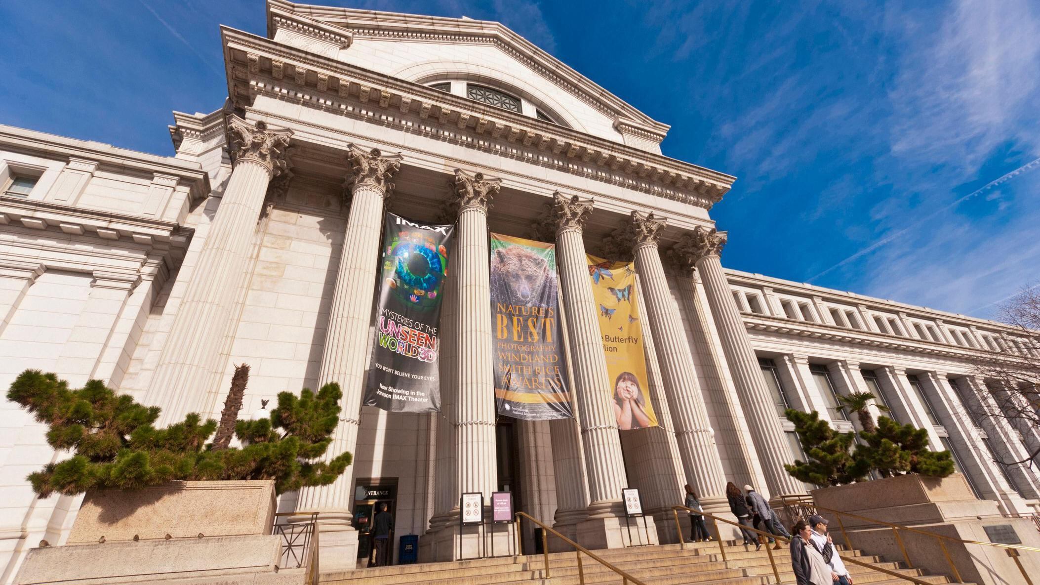 El mandatario Donald Trump apuntó que las galerías del Smithsonian, consideradas entre las mejores del mundo, son “el último segmento que queda de lo ‘WOKE’ (progresismo)”, pero aseguró que por poco tiempo.