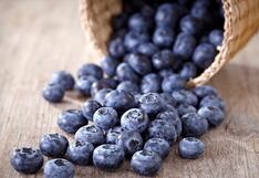 NuBerry Farms invierte para producir arándanos orgánicos en sur de Perú