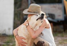 Crematorio municipal para mascotas: ¿cuánto cuesta despedir a tu amigo fiel?