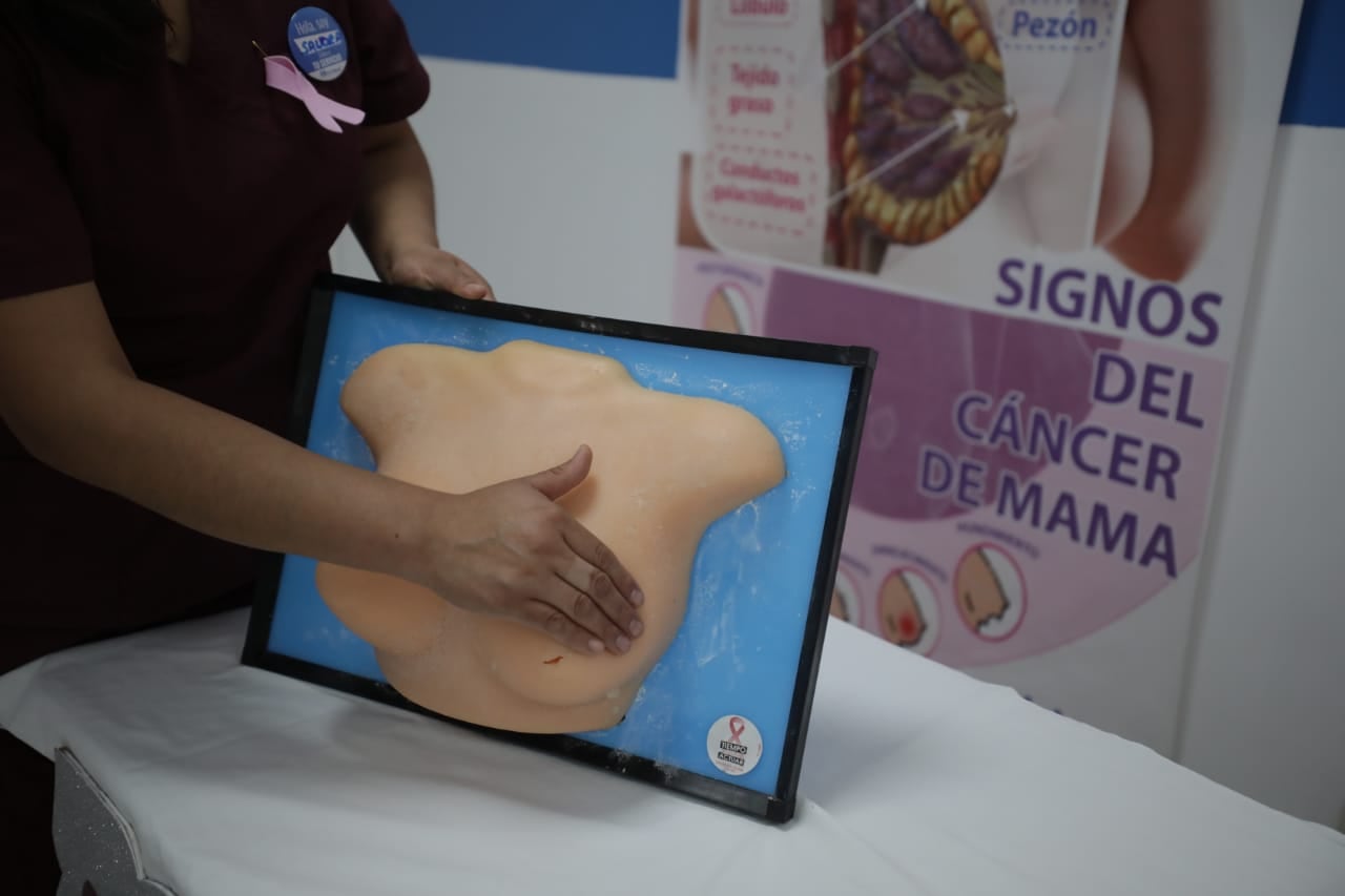 La investigación oncológica en el país se ha orientado principalmente hacia el cáncer de pulmón, mama, cuello uterino, estómago y próstata. (Foto: GEC)