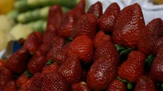 Senasa suspende permisos fitosanitarios para la importación de fresa de Chile