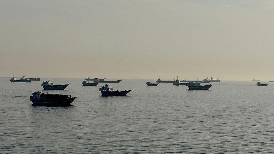 Dada la importancia del estrecho de Ormuz para el transporte marítimo mundial, los expertos señalan que es probable que especies marinas no autóctonas lleguen a la región y se propaguen desde ella.
