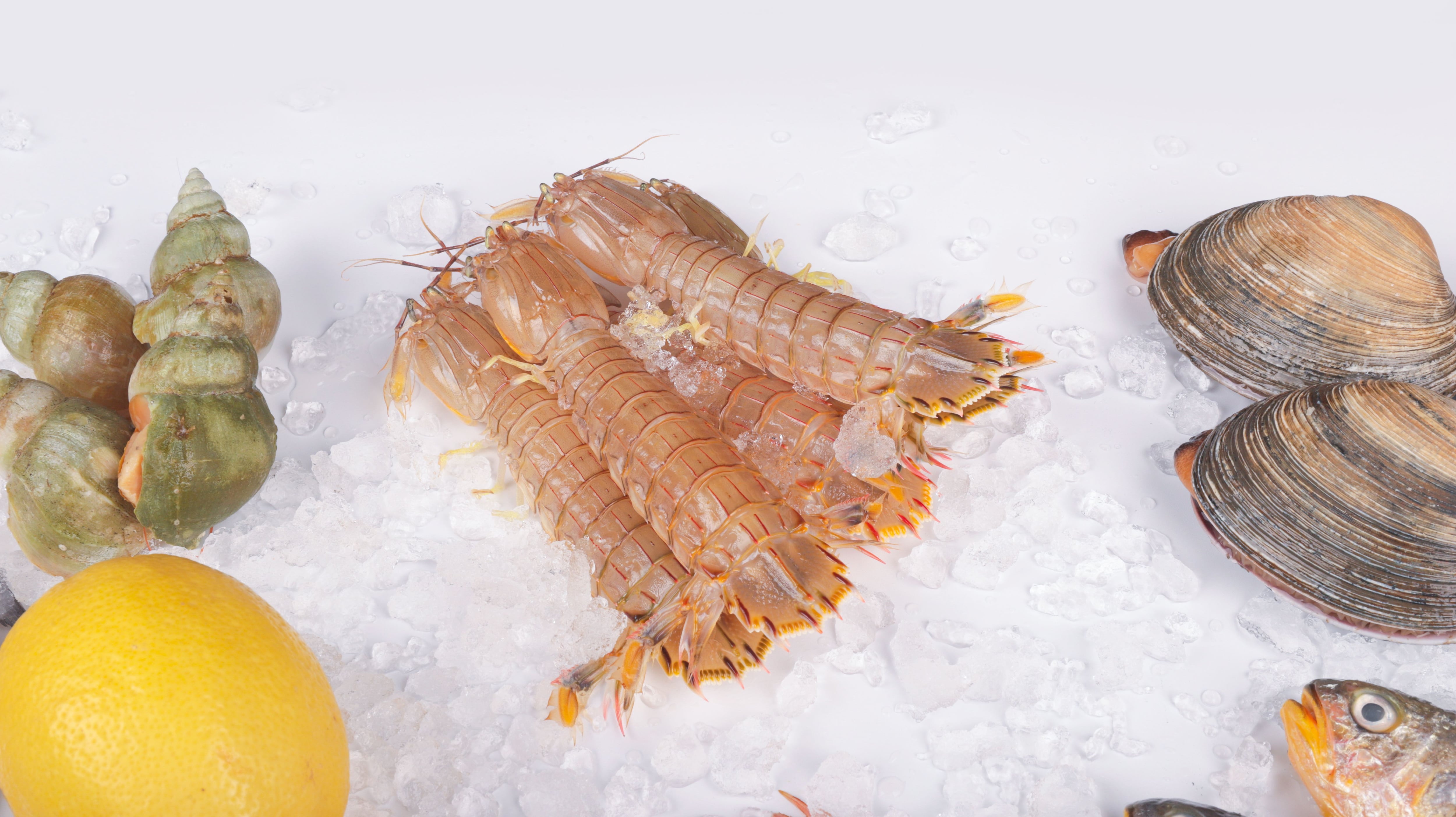 Los mariscos crudos o mal cocinados pueden contar este microorganismo letal. (Crédito: Pexels / Imagen referencial)