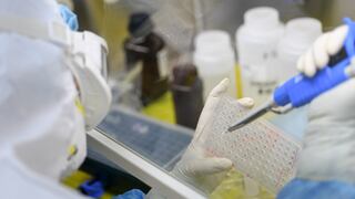 Test y aislamiento, estrategia más rentable para contener la pandemia
