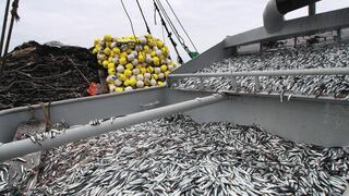 Produce: Sector pesquero creció 9.5% al cierre del 2017