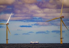 Trump podría estar ayudando más a las energías verdes de lo que parece