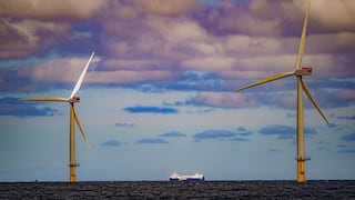 Trump podría estar ayudando más a las energías verdes de lo que parece