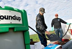 Bayer anuncia acuerdo multimillonario para zanjar litigios sobre su herbicida Roundup