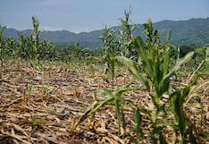 El Niño “muy fuerte”: BCRP monitorea evolución, ¿qué proyecta para los próximos meses?