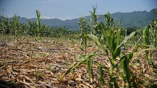 El Niño “muy fuerte”: BCRP monitorea evolución, ¿qué proyecta para los próximos meses?