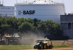 Gigante alemán BASF reordena su estrategia en Perú: más agroexportación con IA