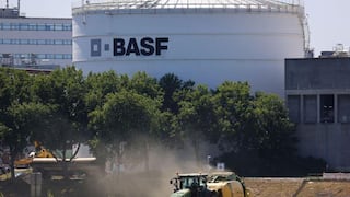 Gigante alemán BASF reordena su estrategia en Perú: más agroexportación con IA