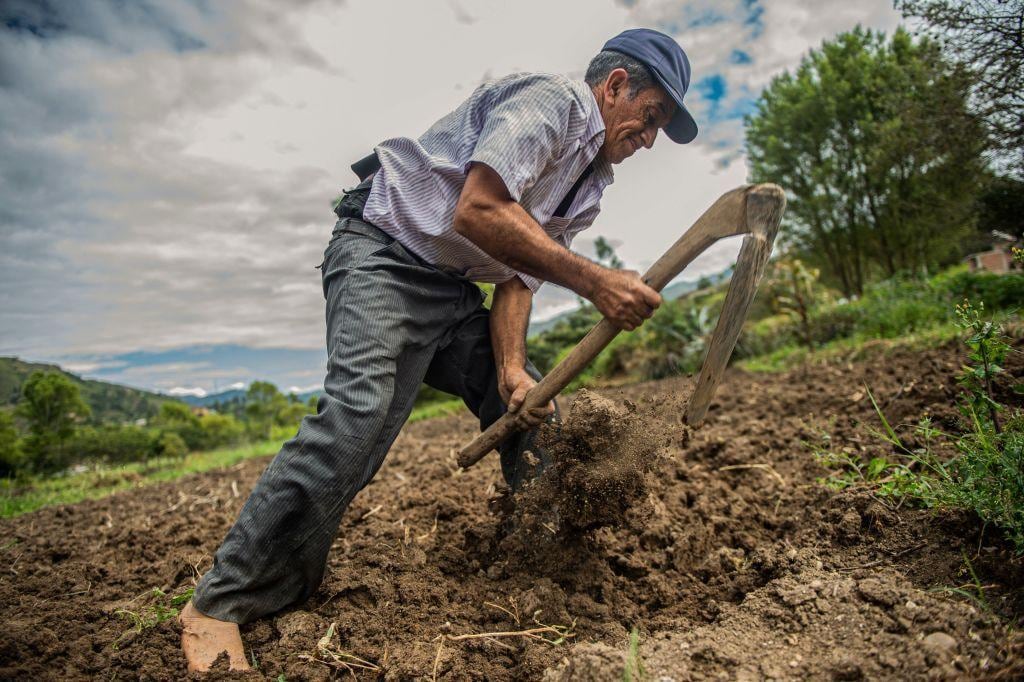 Resulta muy bueno ser reconocidos como una potencia en la producción de alimentos y saber que podríamos incluso producir más alimentos con mejores políticas agrarias. Sin embargo, esto no nos alcanza para ser una potencia alimentaria. (Foto: Getty)