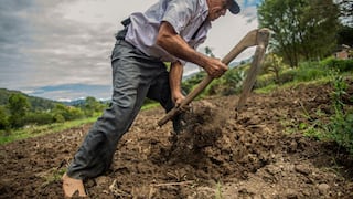 Potencia alimentaria: cinco de siete