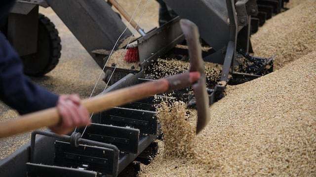 El desconsuelo de los agricultores ucranianos tras la salida de Rusia de acuerdo cerealero