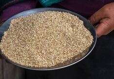Perú se consolida como el primer productor y exportador mundial de quinua