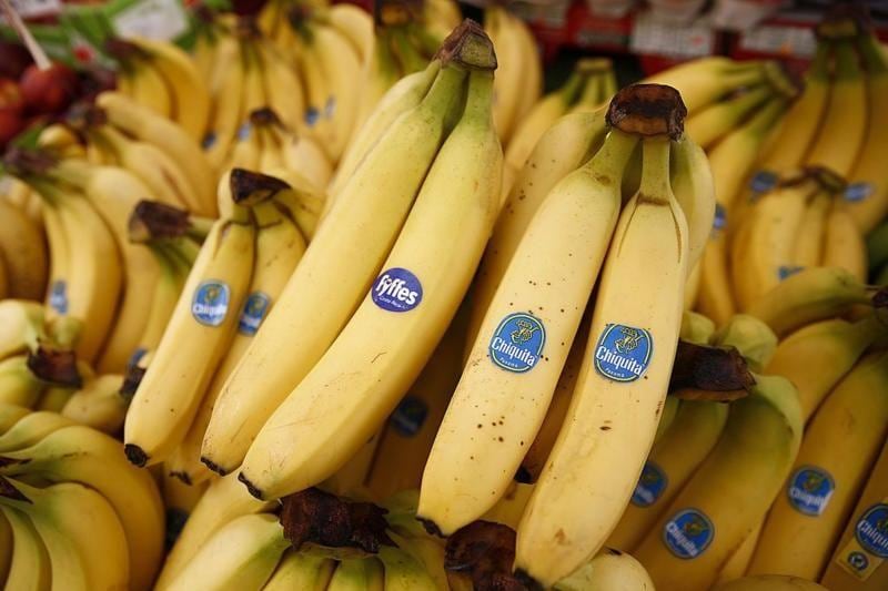 Chiquita ha jugado un papel protagónico en la exportación de banana desde hace décadas.