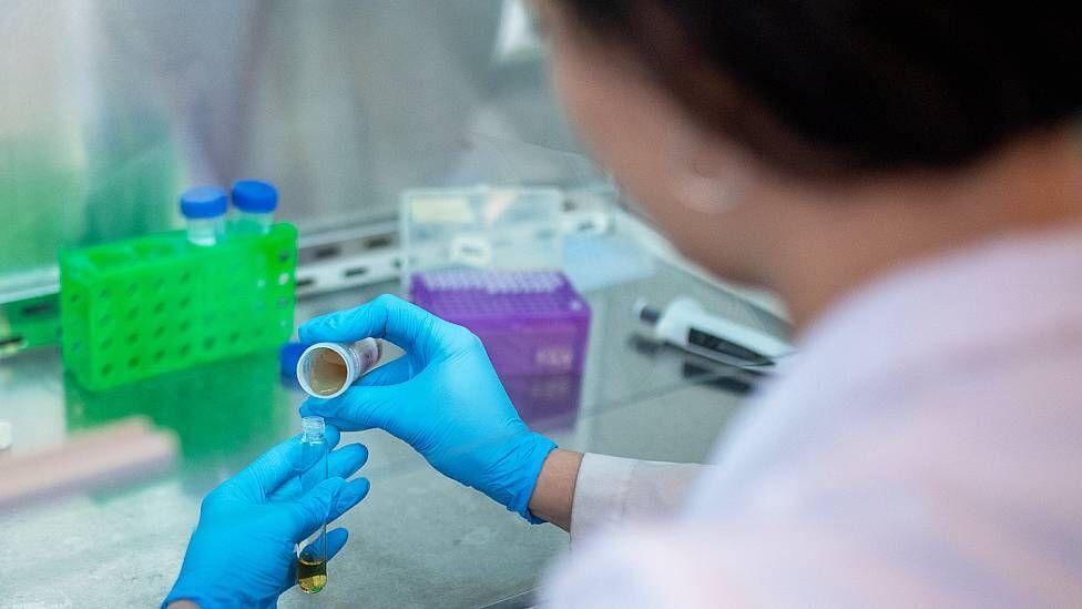 Maypharm planea adaptar modelos de negocio personalizados y establecer equipos de ventas en mercados selectos, lo que sugiere que su entrada en Perú incluirá una estrategia específica para el mercado local.