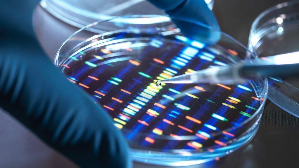 ADN para investigar delitos: los beneficios y riesgos de la nueva ley | Foto: Referencial