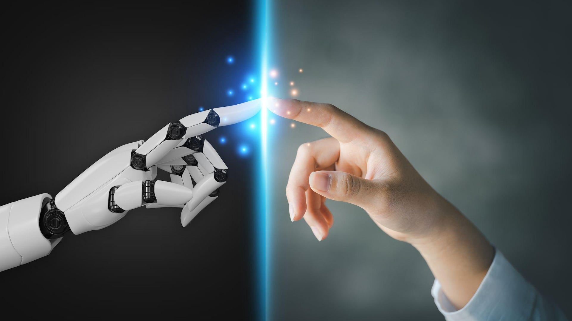 Algunos de los productos que Ilona Biskup tomó en el banco de alimentos.