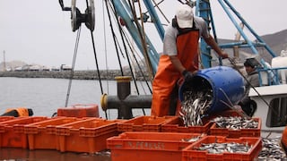 Gobierno entregará segundo bono del pescador de S/ 700: ¿cuándo será?