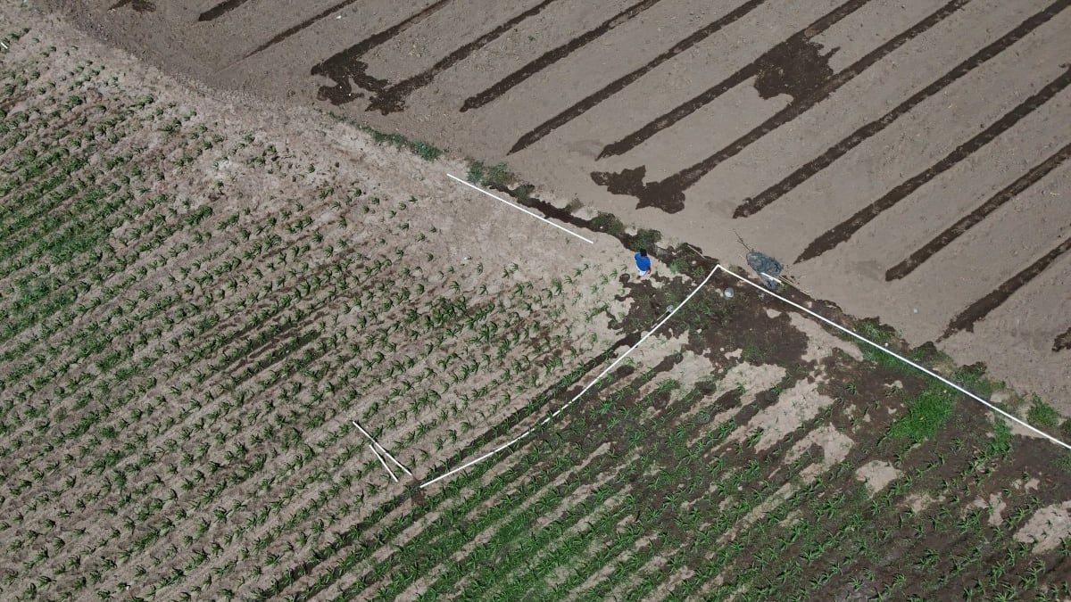 El Niño plantea una amenaza inminente para el sistema alimentario mundial