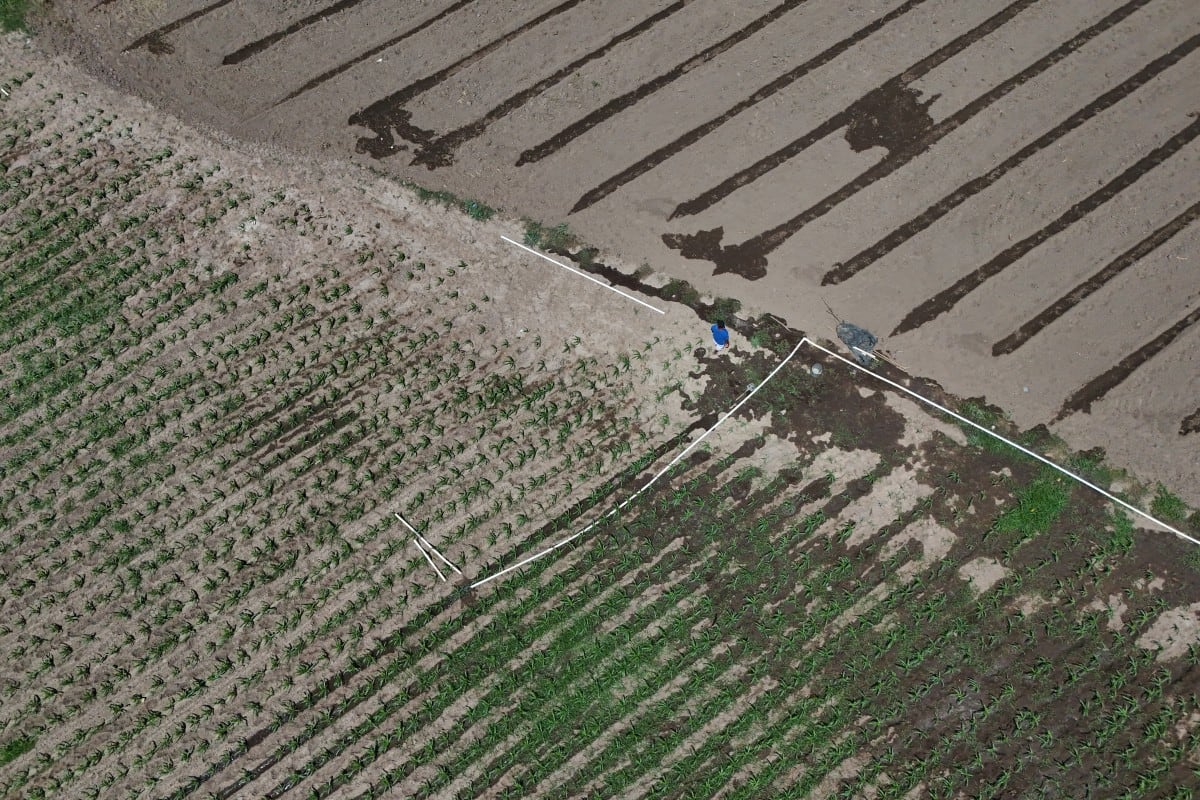 Vista aérea de un agricultor instalando tuberías de riego para regar sus cultivos ante la falta de lluvias en Tecoluca, departamento de San Vicente, El Salvador, el 26 de agosto de 2026. (Foto: Marvin RECINOS / AFP)