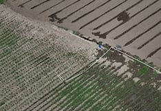 Fenómeno El Niño ya golpea a agricultores con sequías: “Es una gran pérdida”