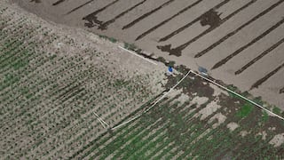 Fenómeno El Niño ya golpea a agricultores con sequías: “Es una gran pérdida”