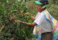 Plaguicida prohibido amenaza agroexportaciones de Perú: el “peso” del clorpirifós