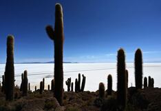 Minera de litio Allkem recibirá hasta US$ 180 millones para planta en Argentina